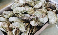 may18_XXXXXL56lmedjyf